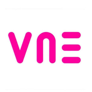 Logo VNE